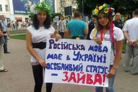 Киев хочет лишить русский язык особого статуса в Донецкой области