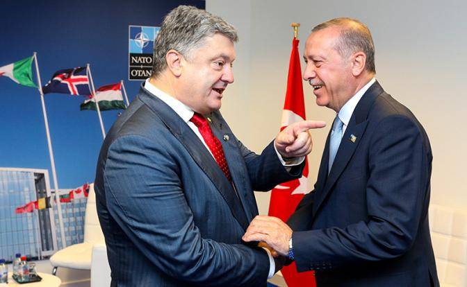 Отбивать у России Азов и Донбасс будет Турция