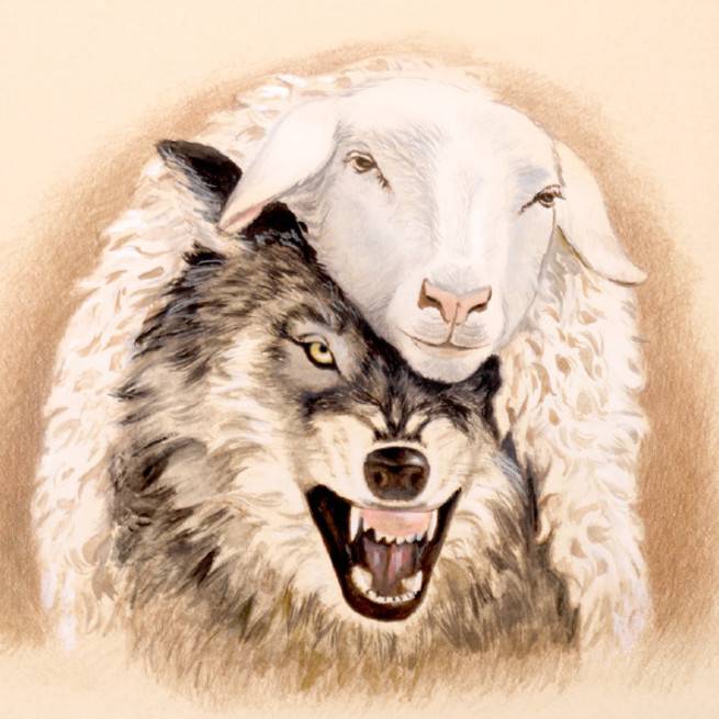 «Вселенский» патриархат – волки в овечьих шкурах