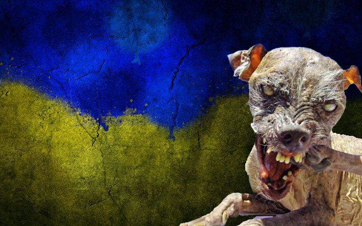 Псы и шакалы киевского режима рвут поводки
