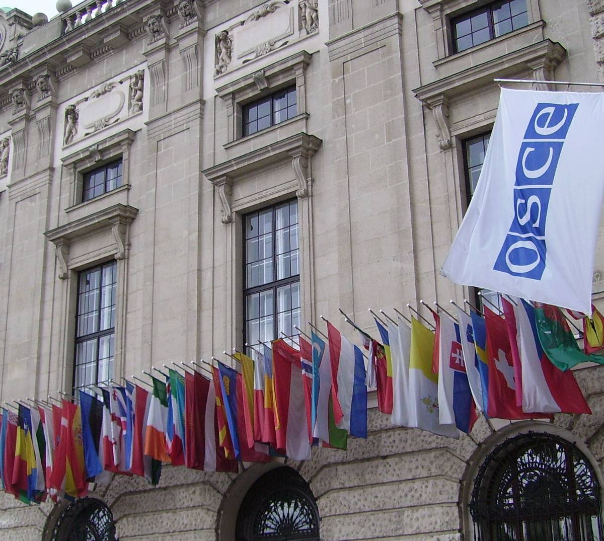ОБСЕ признала неспособность справиться с кризисами