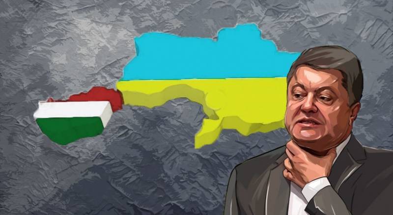 Задачка для посла США: помирить украинцев с венграми