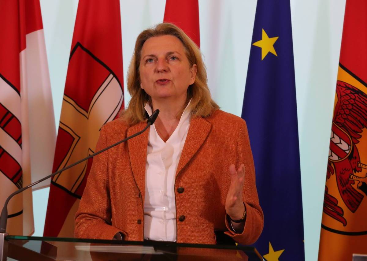 МИД Австрии отругало Киев за притеснения СМИ