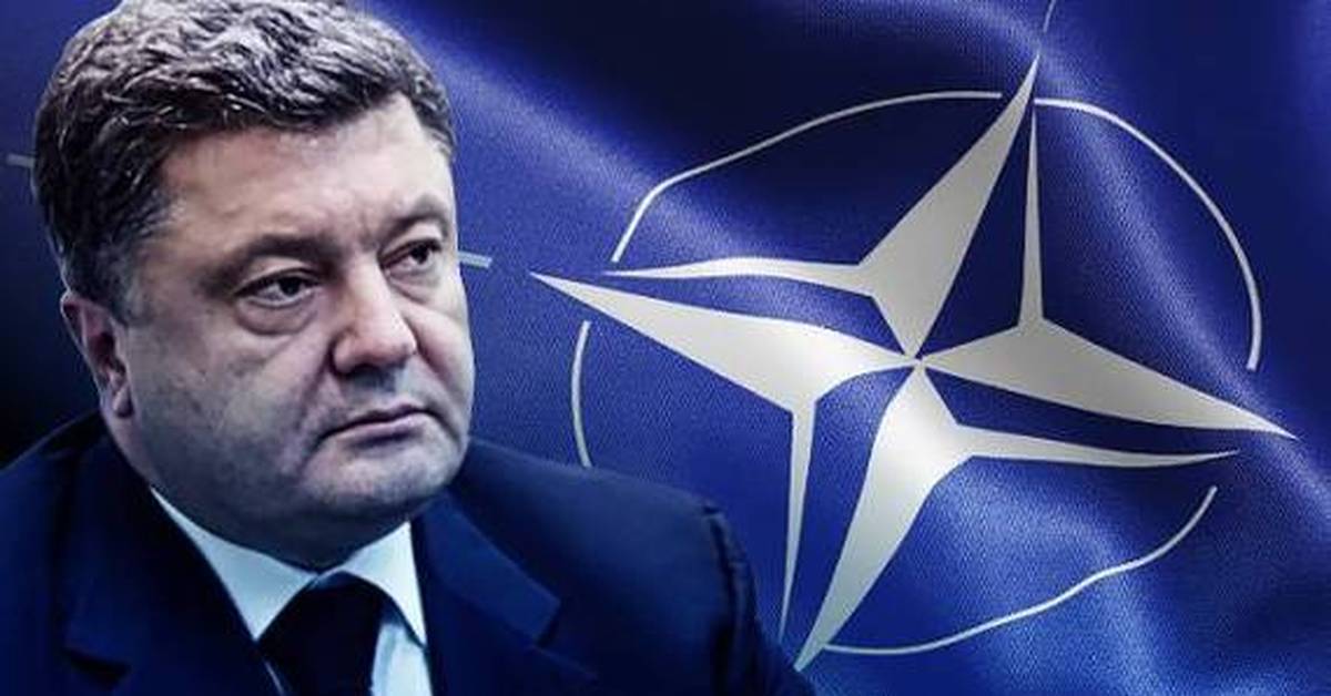 Украина призывает НАТО: Чего еще ждать от Порошенко?