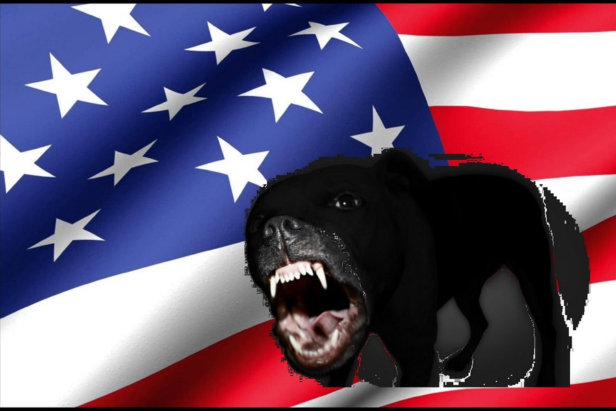 Эволюция США: от мирового жандарма – к бешеной собаке