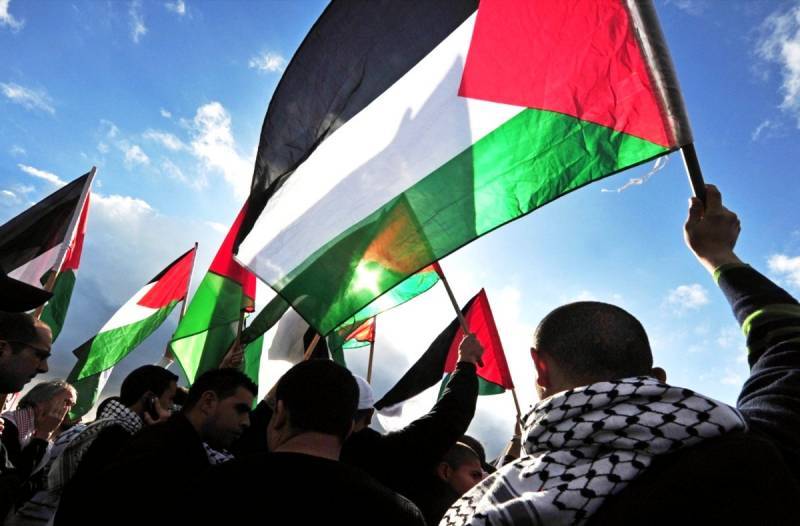 Палестинец в России: чем наша страна удивила гостя с Ближнего Востока