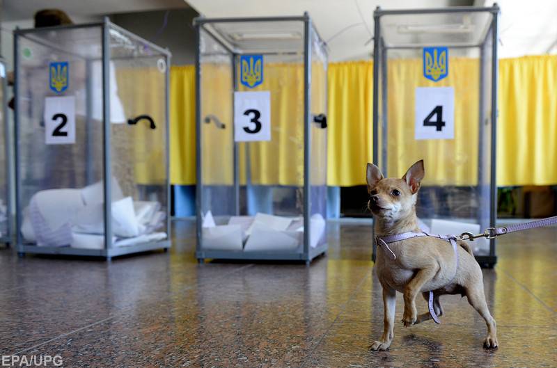 Украинский политолог признал, что Россия не влияет на выборы в Украине
