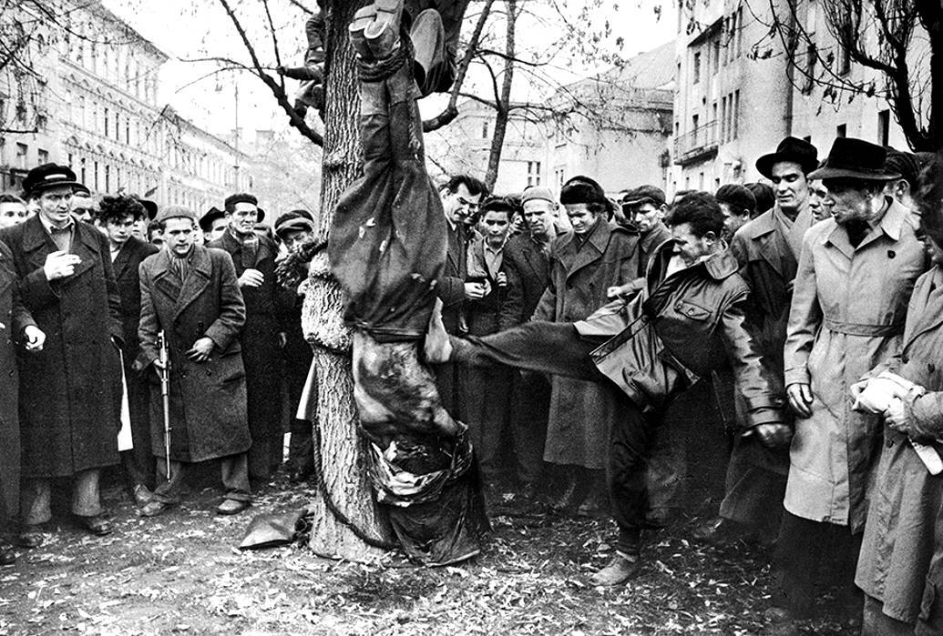 Деяния Никиты-чудотворца. Венгерский гамбит Деяния Никиты-чудотворца. Венгерский гамбит