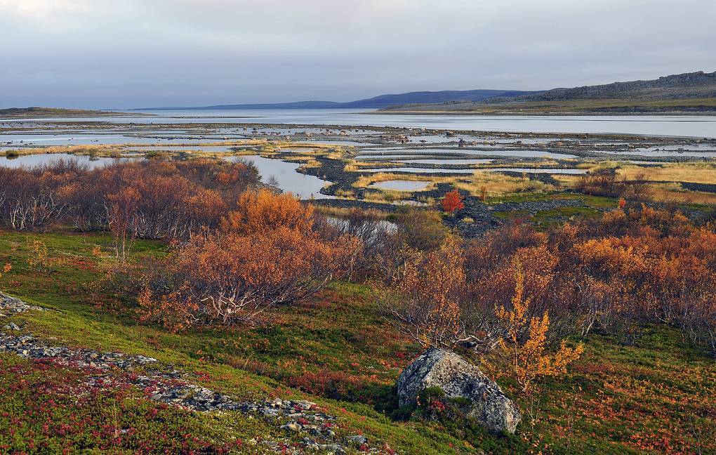 Российские владения в Арктике. История и проблемы