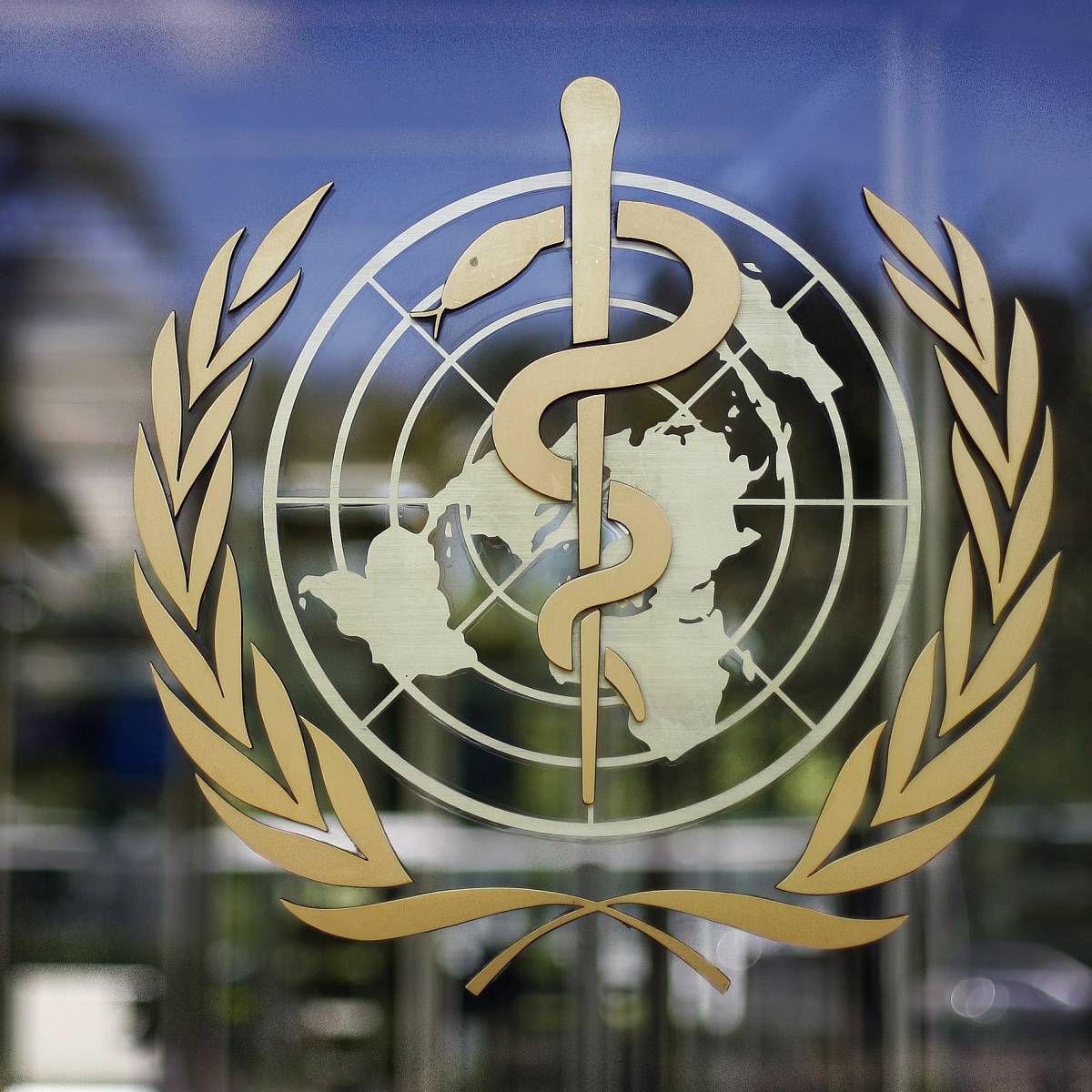 Организация всемирной содомизации Организация всемирной содомизации