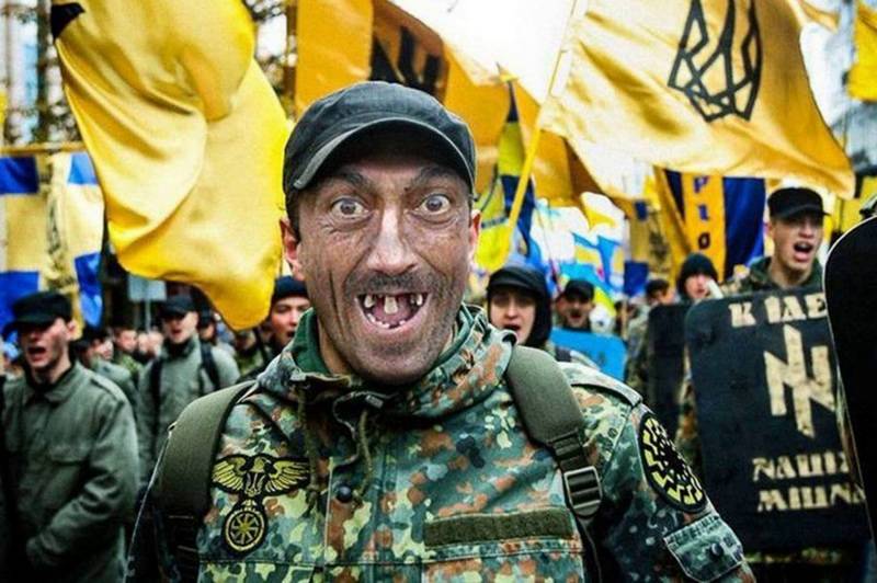 Новый политический режим Украины – «расово правильная» демократия Новый политический режим Украины – «расово правильная» демократия