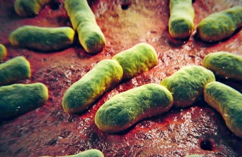 Невидимый враг: «Супербактерия» начала убивать человечество
