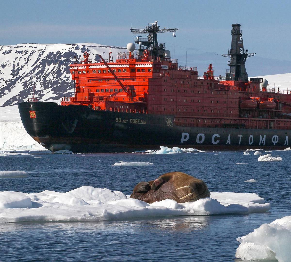 High North News: Китай и Россия создали США серьезные проблемы в Арктике