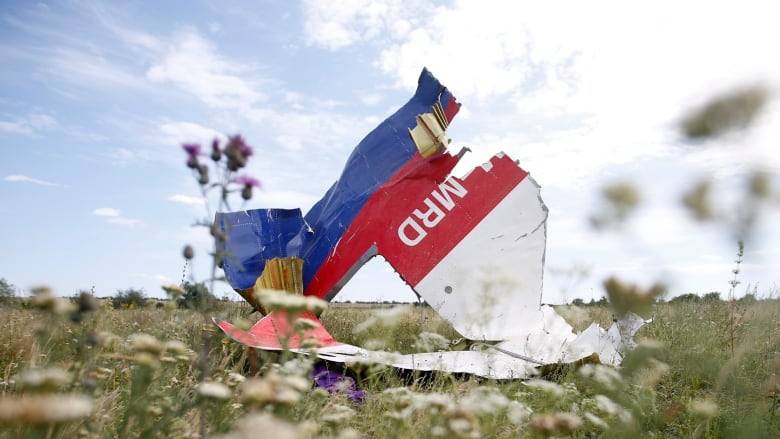 Главные вопросы по делу MH17: Запад не даст узнать правду про Украину