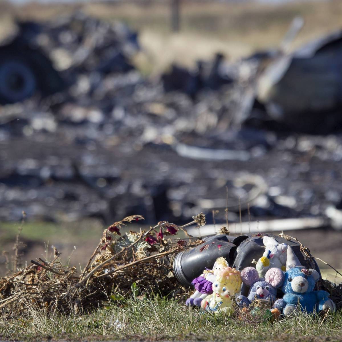 Тайны Запада в деле MH17: Украина не просто так применила право вето