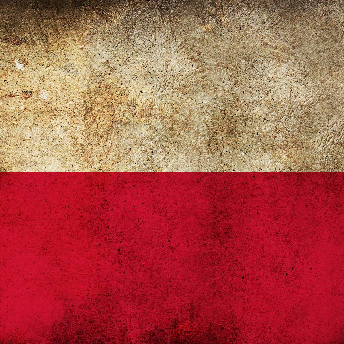 Польша способствует укреплению фашизма и нацизма на Украине