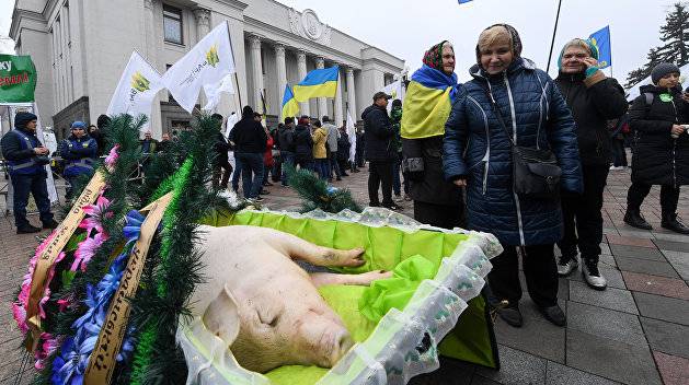 Кому выгодна дохлая украинская свинья