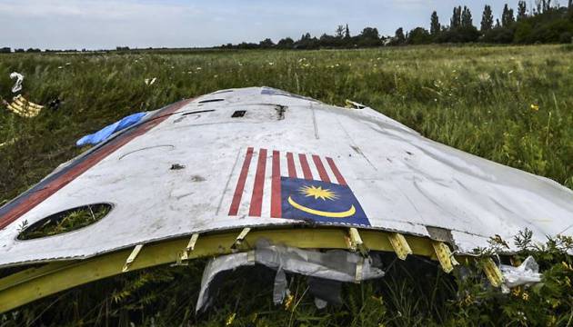 Нидерланды планировали ввести войска на Украину после крушения MH17