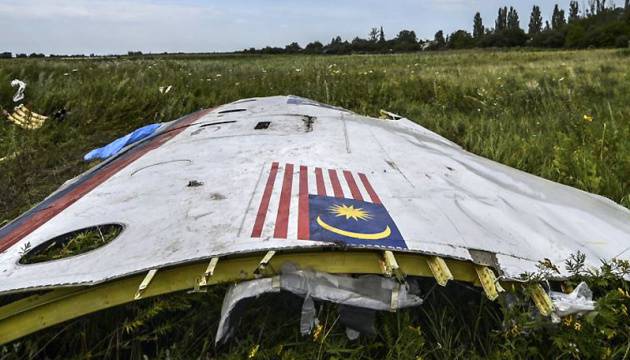 Нидерланды планировали ввести войска на Украину после крушения MH17 Нидерланды планировали ввести войска на Украину после крушения MH17