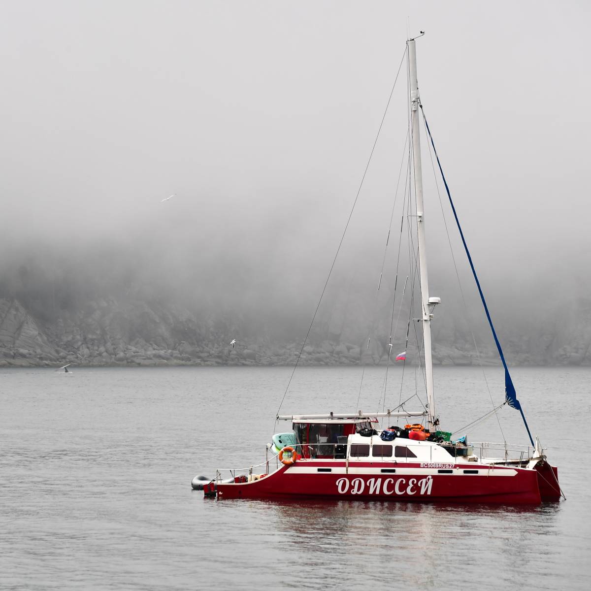 Япония выразила недовольство геологическим исследованием России в море