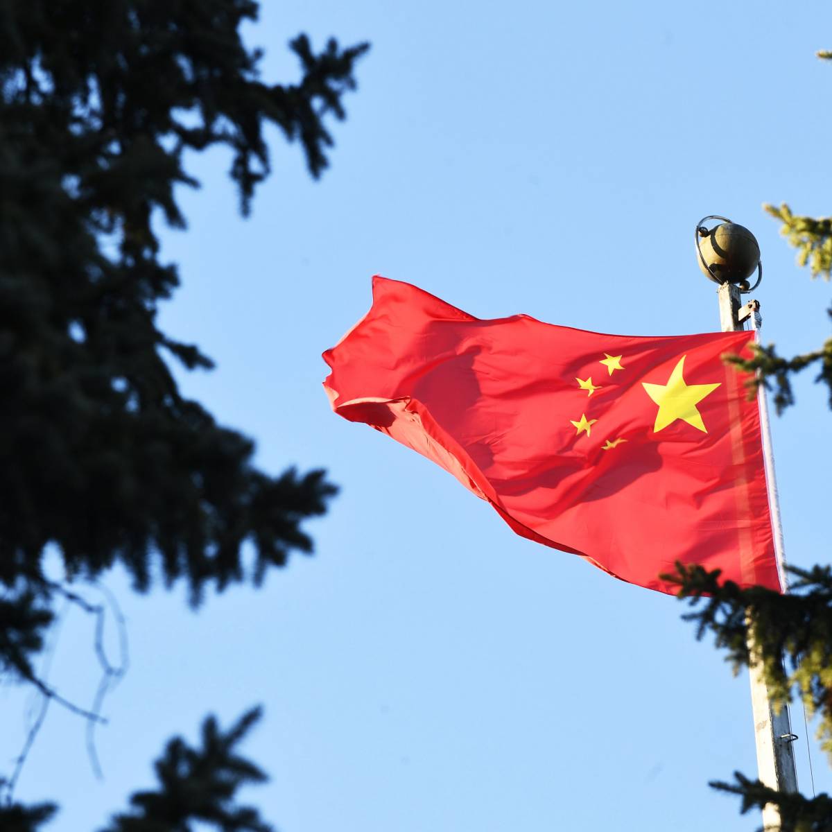 Китай одобрил выбор россиян на голосовании по поправкам к Конституции РФ