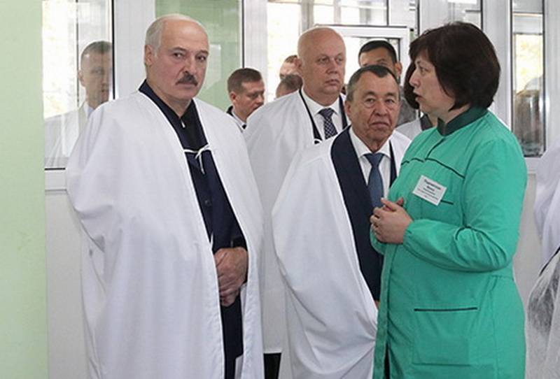 «Флюгер для Лукашенко»: как использовать пандемию для победы на выборах