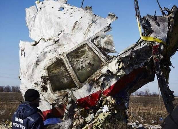Доказательства Шария могут пролить свет на дело о крушении Boeing МН17