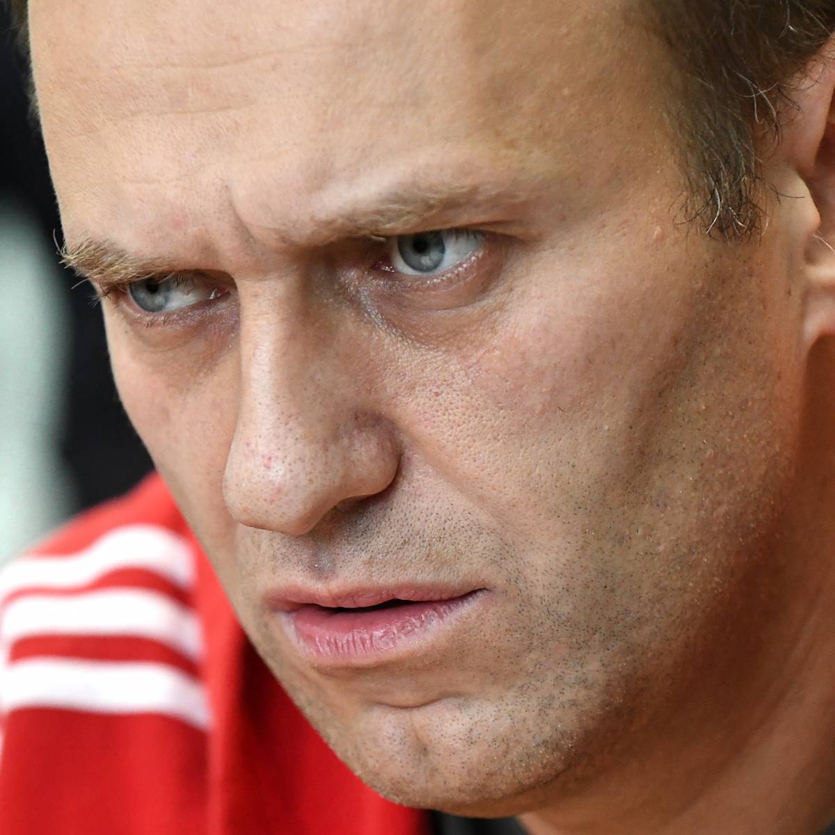 Генпрокуратура не выявила криминала в ситуации с Навальным