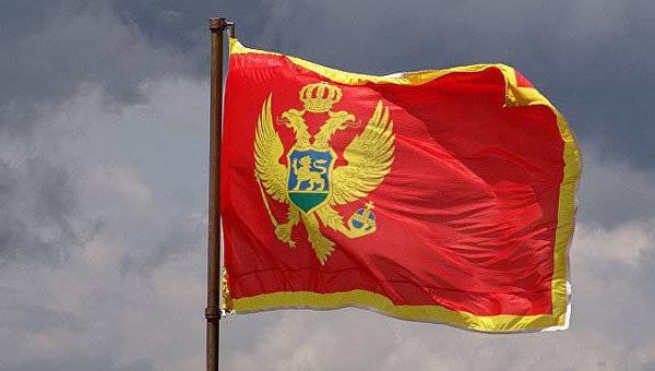 МИД РФ о выборах в Черногории: Москва не планирует вмешиваться в чужие дела