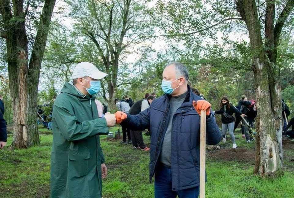 Итоги выборов президента Молдовы могут решить аграрии