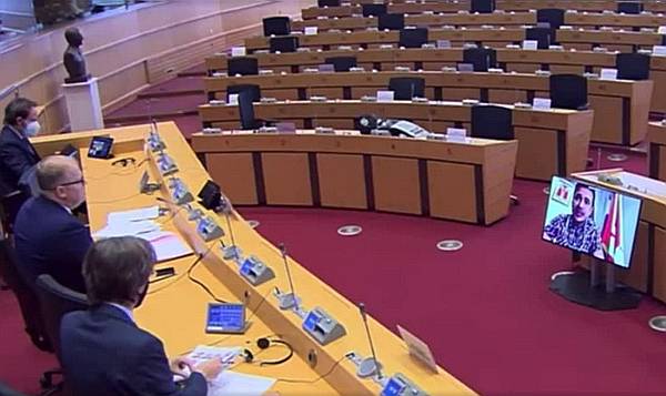 Либералы жаловались пустому залу Европарламента на Путина и просили санкции Либералы жаловались пустому залу Европарламента на Путина и просили санкции