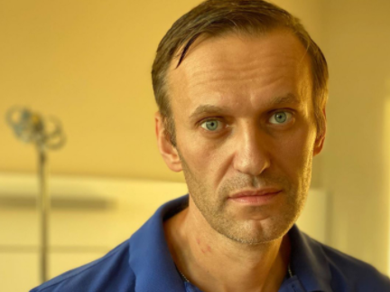 Расследование отравления Навального — сценарий голливудского фильма