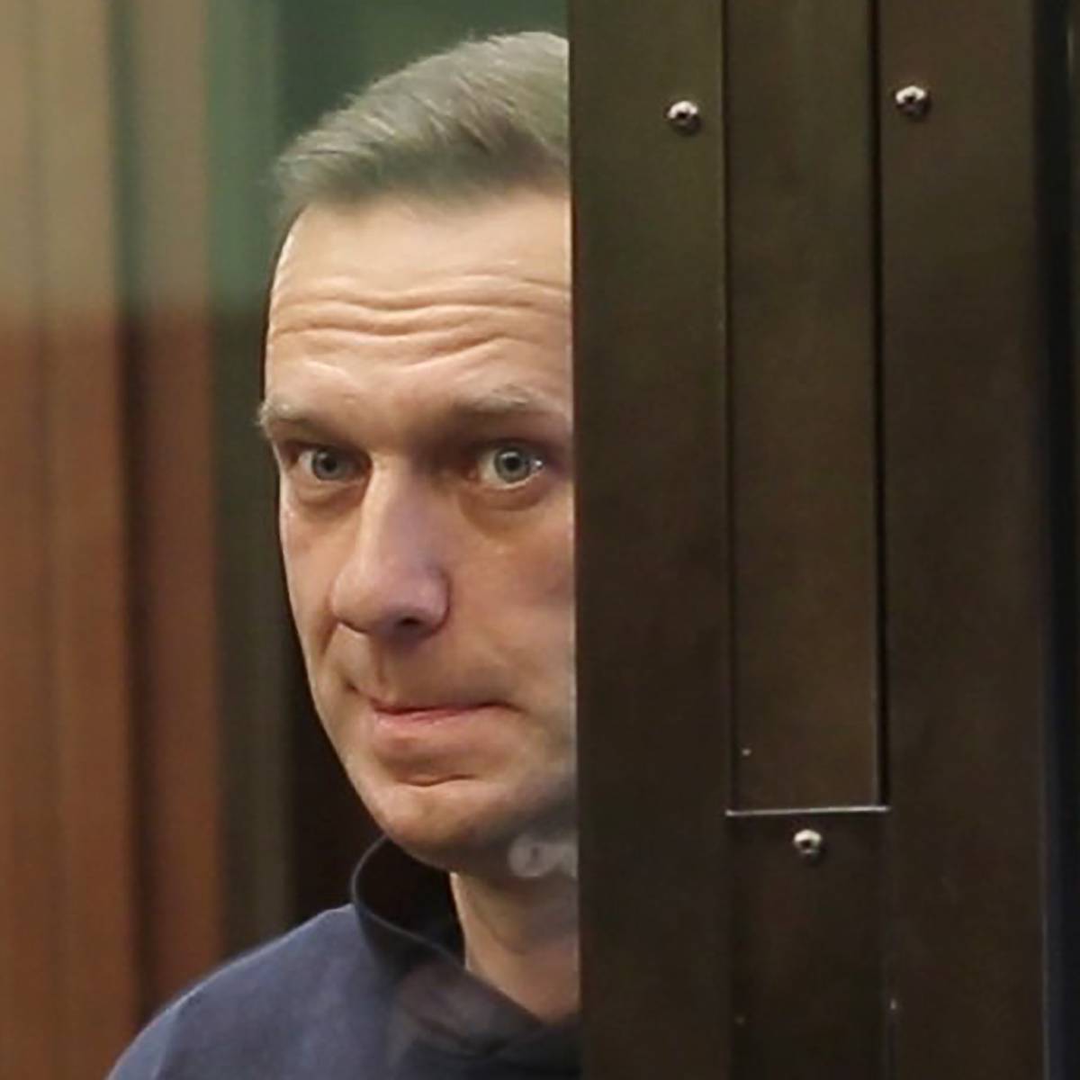 В Совфеде привели доказательство тому, что Навальный - иноагент