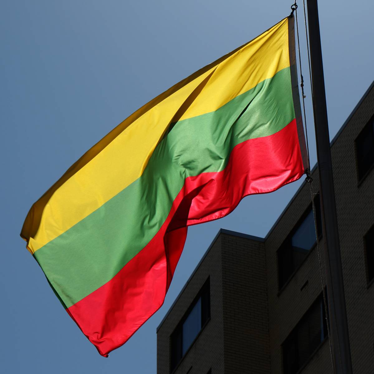 Германия ограничит радикализм Литвы в отношении России и Белоруссии