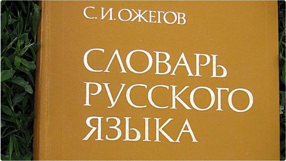 Как Украина хочет украсть у России русский язык и почему это не получится