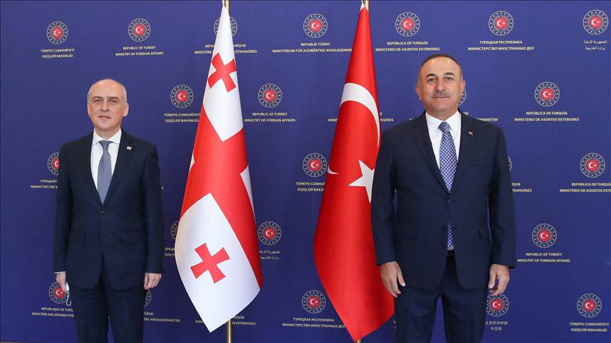 Визит министра в Турцию: «спасательный круг» для властей Грузии?