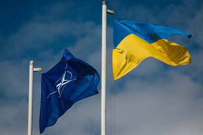 Членство Украины в НАТО – перебор со стороны Запада