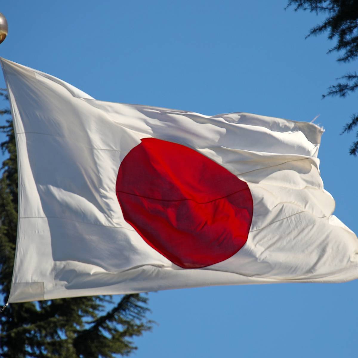 В правительстве Японии отреагировали на слова Путина о мирном договоре