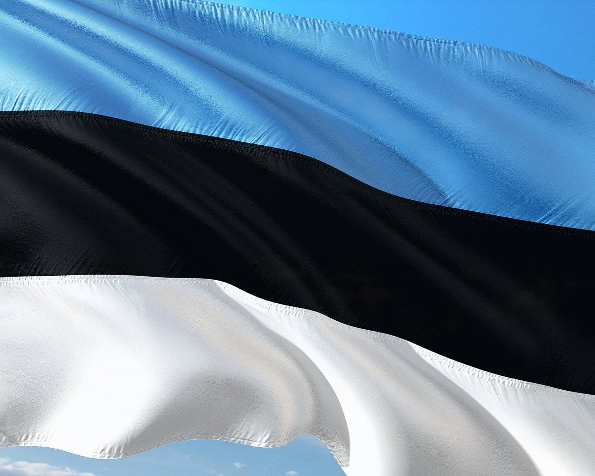 Эстония пригрозила "симметричным ответом" на высылку консула из России