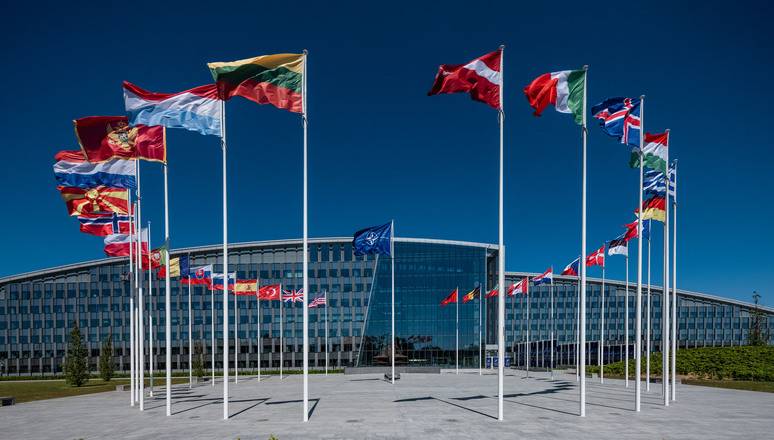 Единство НАТО — миф или реальность