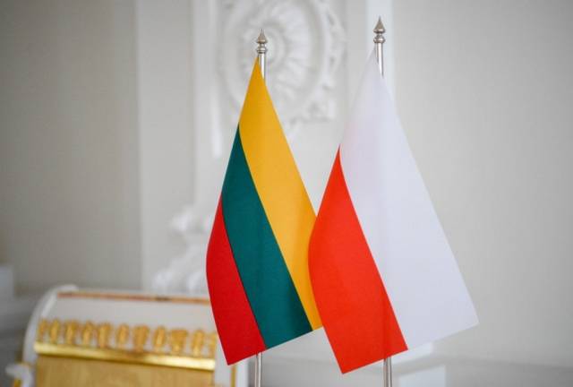 Литва и Польша призвали ЕС к более жестким мерам воздействия на Минск
