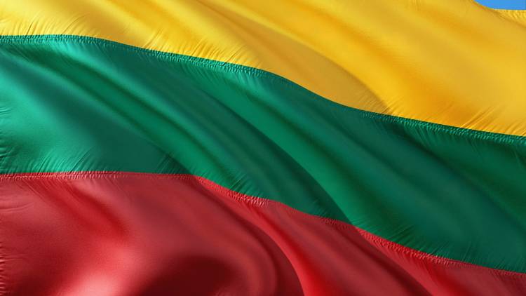 Литовцы устали от несостоятельности правительства Литовцы устали от несостоятельности правительства