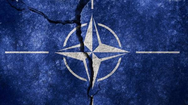 Европа создает конкурента НАТО втайне от США Европа создает конкурента НАТО втайне от США