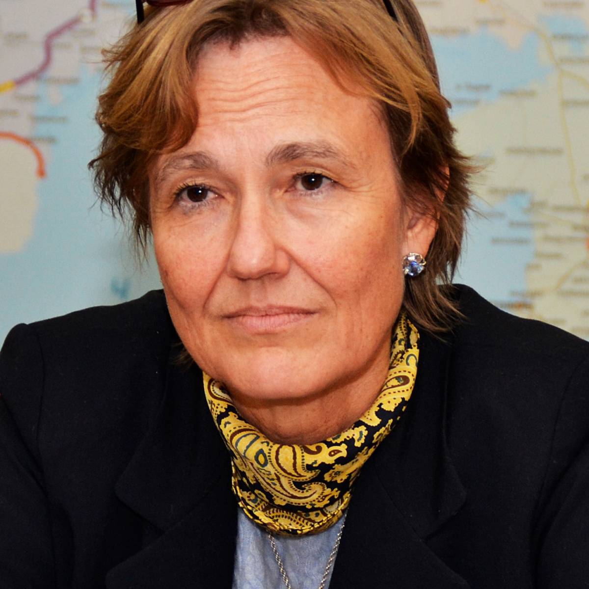 Посол Анка Фельдгузен рассказала, почему Украина не сможет вступить в НАТО Посол Анка Фельдгузен рассказала, почему Украина не сможет вступить в НАТО
