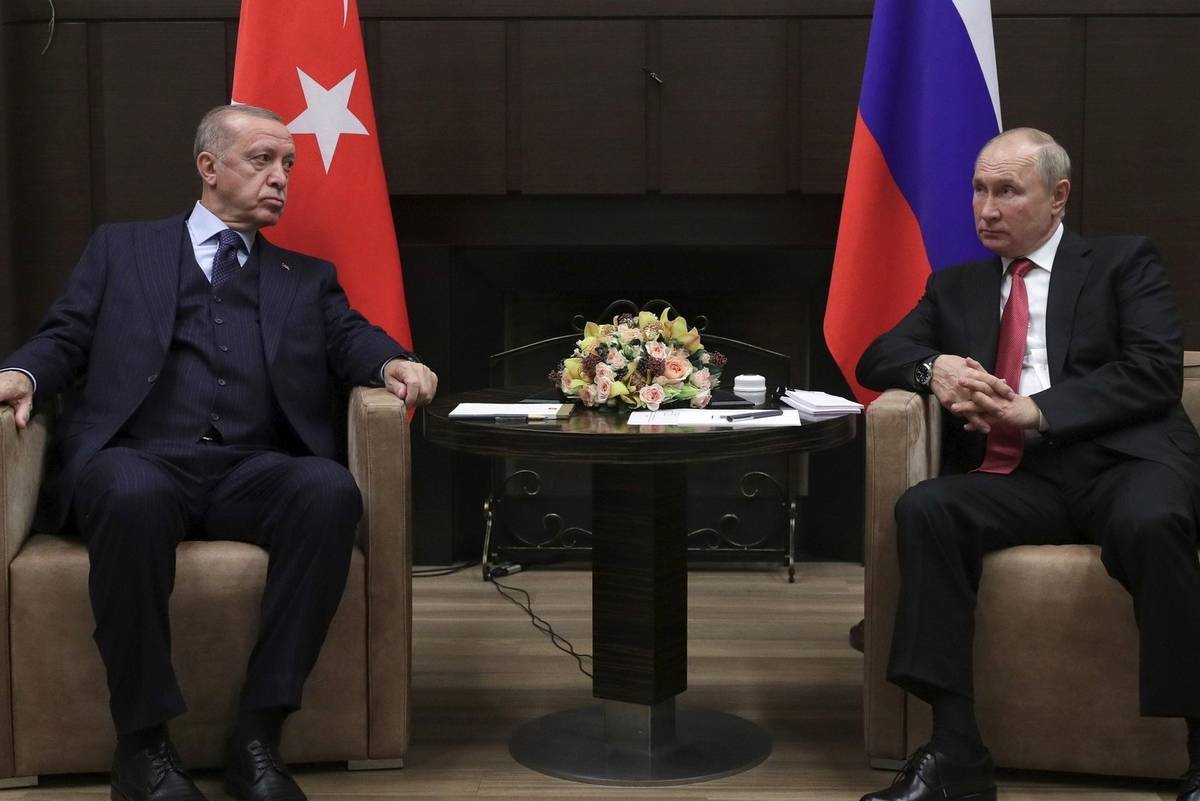 Турецкие СМИ: Эрдоган дал Путину политическую взятку