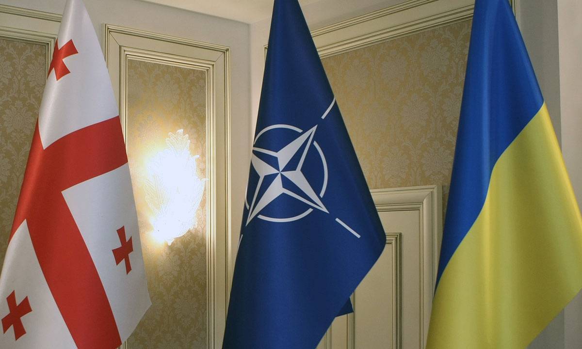 Разочарование Запада: Украина и Грузия – самые ненадежные партнеры НАТО