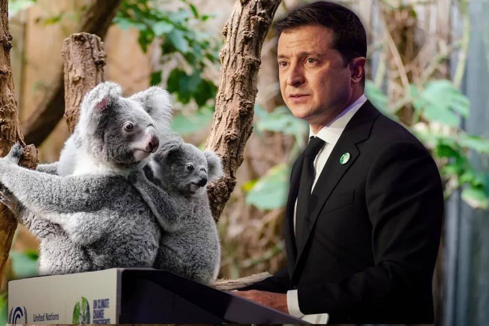 Зеленский в Глазго: судьба коал и сотрудничество с Либерией
