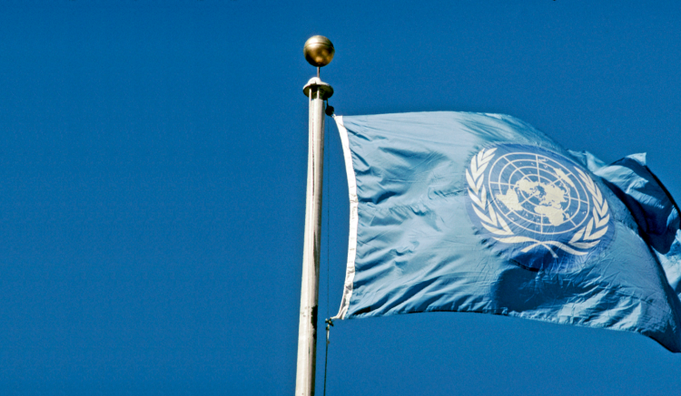 Приёмы дискуссии из подворотни в Совбезе ООН