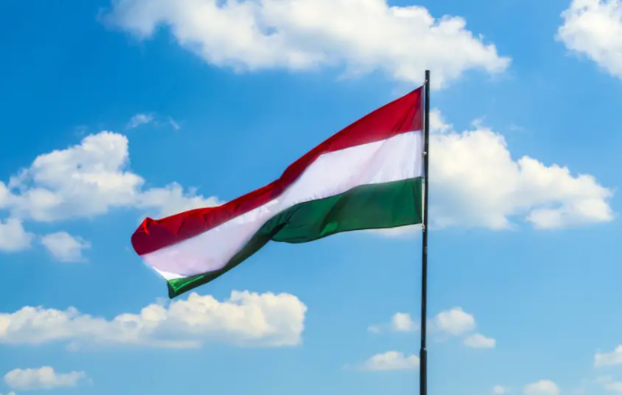 Закарпатье хочет стать Венгрией: Киев рискует остаться без Западной Украины