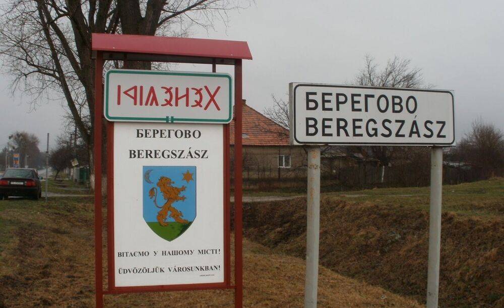 Венгры и поляки претендуют на свой кусок Украины